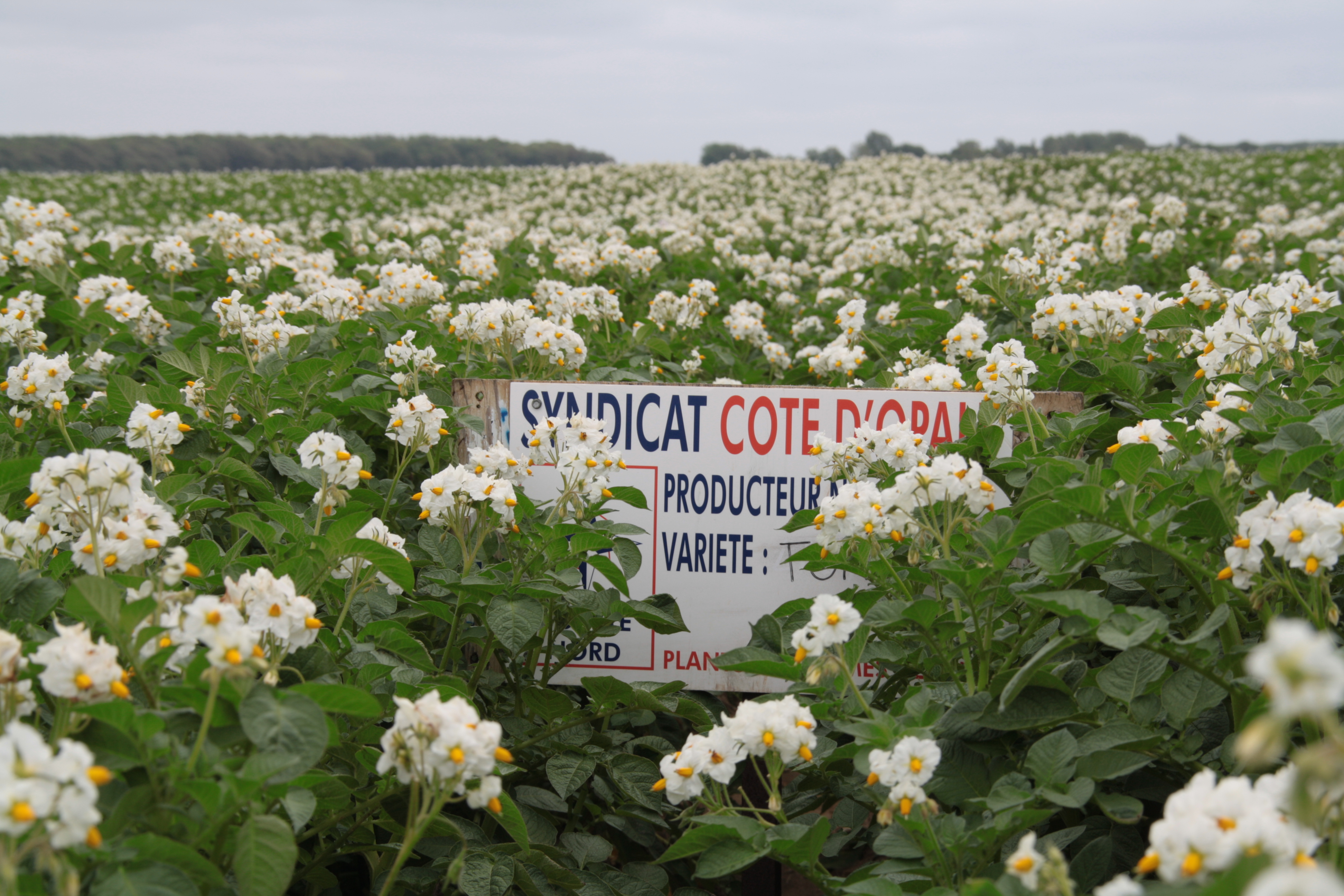 nos producteurs et notre zone de production