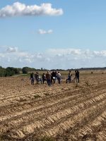 WhatsApp Image 2026-01-07 at 17.47.39